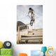 BMX Rider Grinding Handrail Wall Decal
