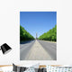 Strasse Des 17 Juni Wall Decal