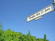17th Street June Wall Decal