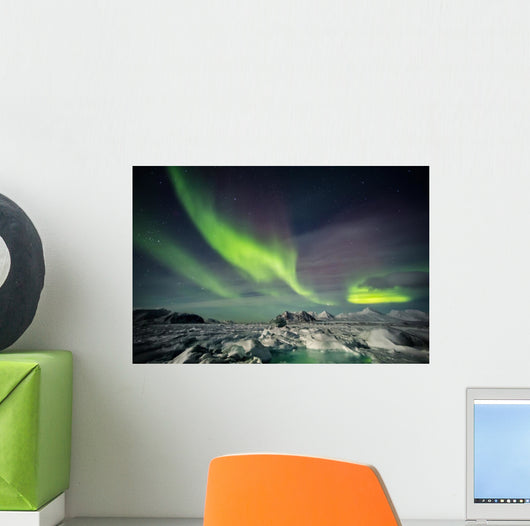 Beautiful Arctic winter landscape Wall Decal