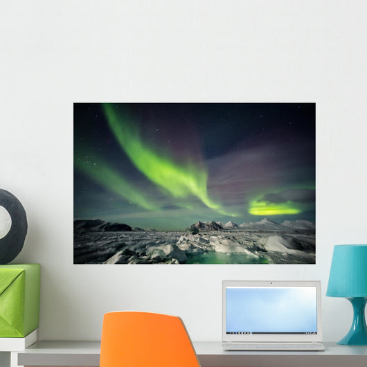 Beautiful Arctic winter landscape Wall Decal