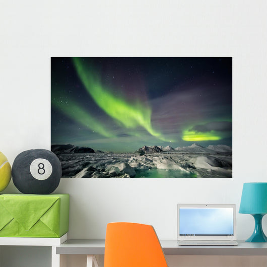 Beautiful Arctic winter landscape Wall Decal