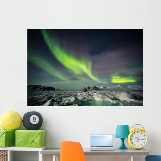 Beautiful Arctic winter landscape Wall Decal
