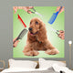 Cocker spaniel grooming at the salon for dogs Wall Decal