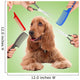Cocker spaniel grooming at the salon for dogs Wall Decal