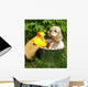 Spaniel Puppy Ready for a Bath Wall Decal