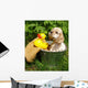 Spaniel Puppy Ready for a Bath Wall Decal