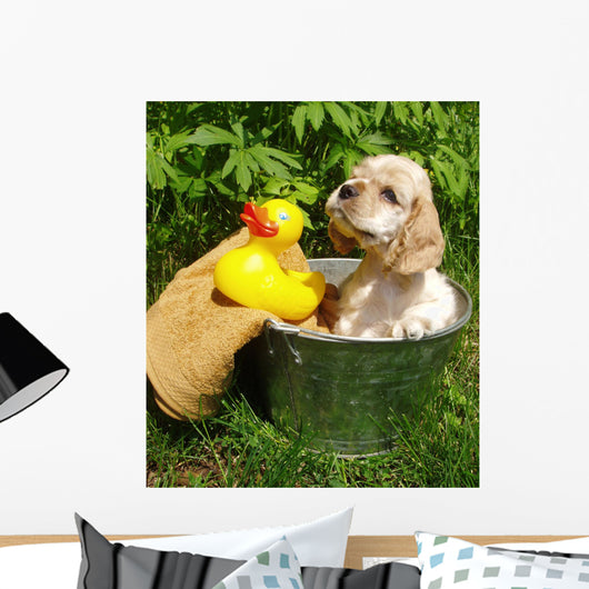 Spaniel Puppy Ready for a Bath Wall Decal