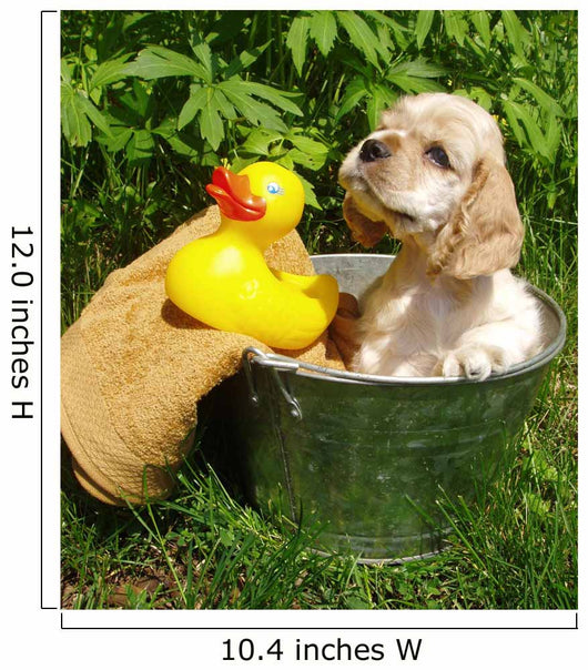 Spaniel Puppy Ready for a Bath Wall Decal