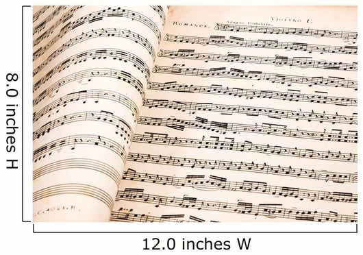 Background Musical Notes Wall Decal
