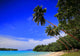 Awesome Beach-port Olry-espiritu Santo Wall Decal