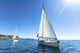 Sailing Luxury Yachts Boats Wall Decal