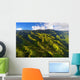 Aerial Jungles Wall Decal