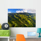 Aerial Jungles Wall Decal