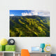 Aerial Jungles Wall Decal