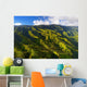 Aerial Jungles Wall Decal