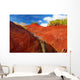 Famous Red Dirt Waimea Wall Decal
