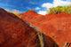 Famous Red Dirt Waimea Wall Decal
