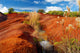 Famous Red Dirt Waimea Landscape Wall Decal