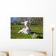 Dehesa Lamb Wall Decal