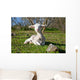 Dehesa Lamb Wall Decal