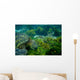 Marine Turtle Swimming Underwater Wall Decal