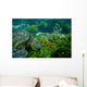 Marine Turtle Swimming Underwater Wall Decal