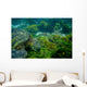 Marine Turtle Swimming Underwater Wall Decal