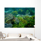 Marine Turtle Swimming Underwater Wall Decal
