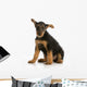 airedale terrier puppy Wall Decal