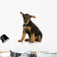 airedale terrier puppy Wall Decal
