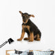 airedale terrier puppy Wall Decal