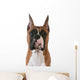 purebred boxer Wall Decal