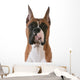 purebred boxer Wall Decal