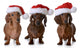 christmas wieners dog Wall Decal