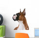 purebred boxer Wall Decal