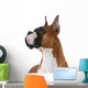 purebred boxer Wall Decal