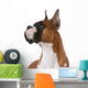 purebred boxer Wall Decal