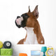 purebred boxer Wall Decal