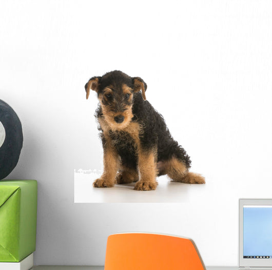cute puppy Wall Decal
