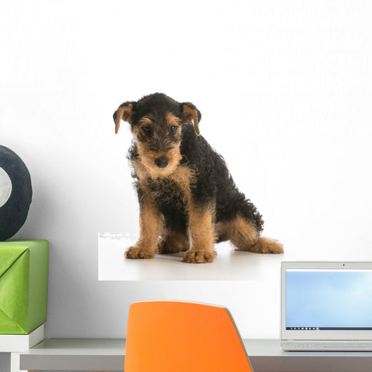 cute puppy Wall Decal