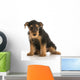 cute puppy Wall Decal
