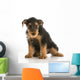 cute puppy Wall Decal