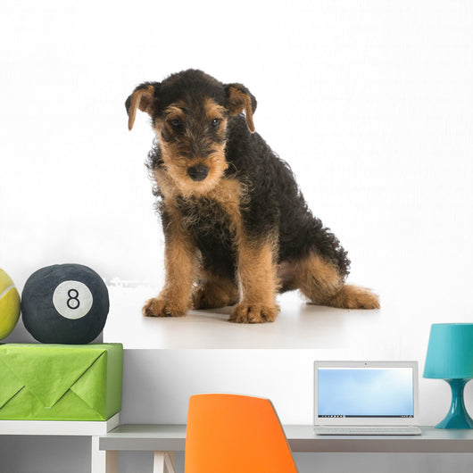 cute puppy Wall Decal