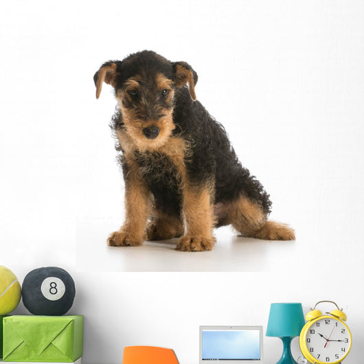 cute puppy Wall Decal