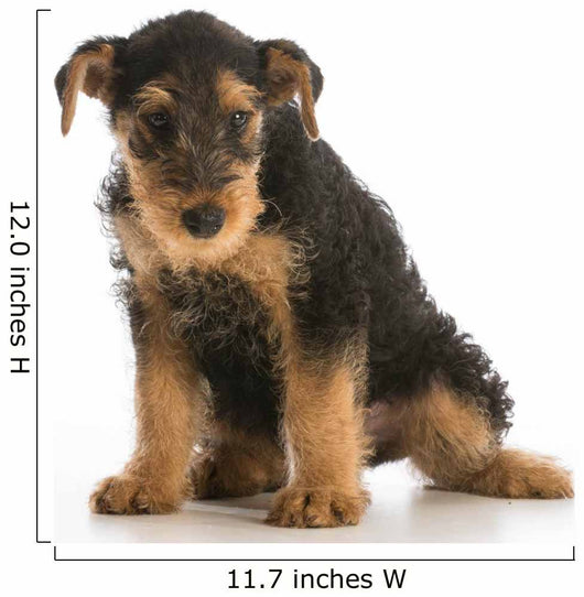 cute puppy Wall Decal