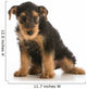 cute puppy Wall Decal