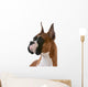 purebred boxer Wall Decal