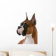 purebred boxer Wall Decal