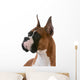 purebred boxer Wall Decal